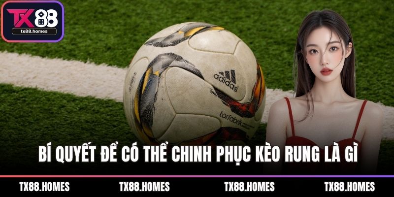 Bí quyết để có thể chinh phục kèo rung là gì