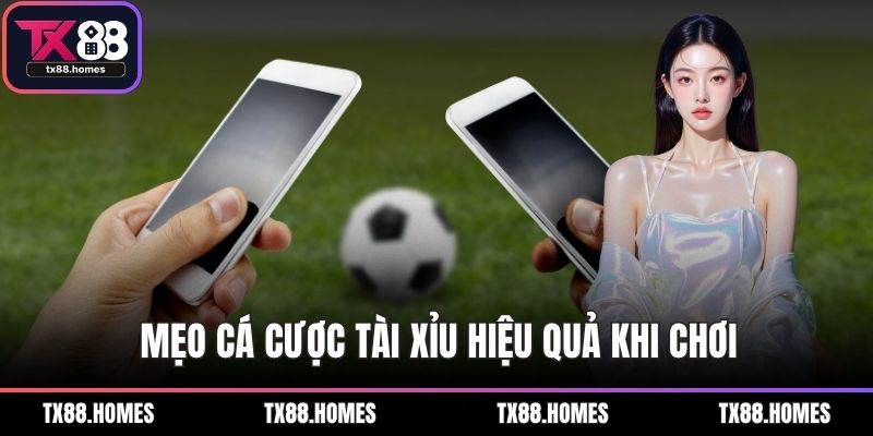 Mẹo cá cược tài xỉu hiệu quả khi chơi
