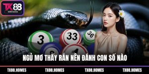 Ngủ mơ thấy rắn