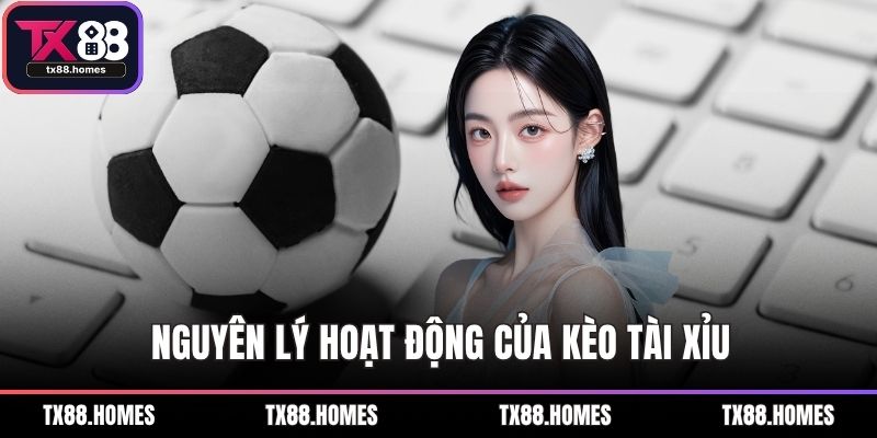 Nguyên lý hoạt động của kèo tài xỉu