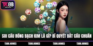 Soi cầu rồng bạch kim