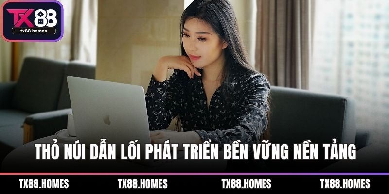 Thỏ Núi dẫn lối phát triển bền vững nền tảng