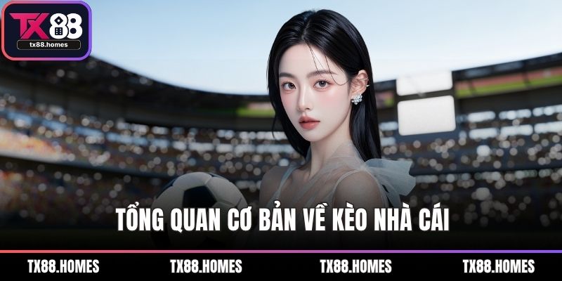 Tổng quan cơ bản về kèo nhà cái